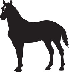 Budyonny horse in silhouette vector pure white background.