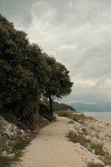 A peaceful coastal trail curves along rocky terrain beside the sea under a cloudy sky. A lone tree stands near the path.