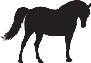 Camarillo White Horse in silhouette vector pure white background.