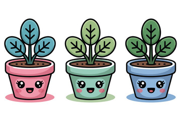 A small potted money houseplant with green leaves is isolated on a white background, symbolizing growth and nature