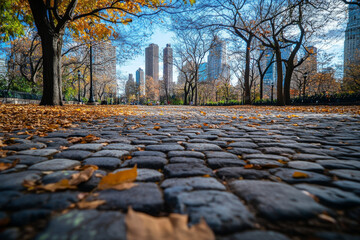 A low angle view of a cobblestone path in an autumn urban park