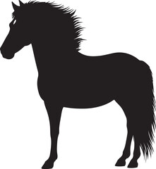 Czechoslovakian Small Riding Pony horse.