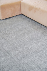  grey Interior pile carpet.