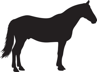 Fototapeta premium East Estonian Draft in silhouette pure white background 