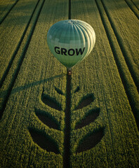 An overhead view of a large, light green balloon with the word "grow" is floating above lush, vibrant fields. The shadows cast by its edge form another leaf-shaped pattern in the field below.