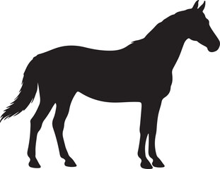 horse Horse in silhouette pure white background.
