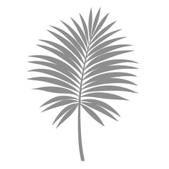 Fototapeta premium Palm Leave Illustration