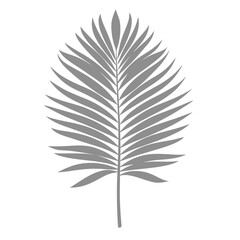 Obraz premium Palm Leave Illustration