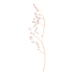 Dry branch of wildflower. Hand drawn watercolor illustration of a herbarium on isolated background. Dead plant drawing suitable for decorating fabrics, paper, scrapbooking, tape, packaging, postcards.