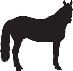 Marismeno horse in silhouette pure white background. 