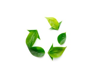 Obraz premium Recycling Leaves Icon on Light Background – Eco-Friendly Concept of Sustainable Production, Eco Plastic, and Green Fuel (AI Generated)