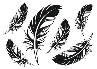 Obraz premium vector collection of black feather silhouettes