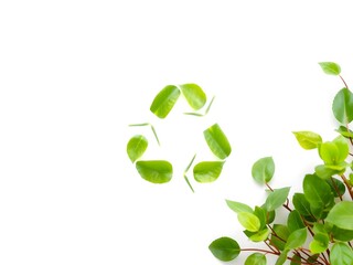 Recycling Leaves Icon on Light Background – Eco-Friendly Concept of Sustainable Production, Eco Plastic, and Green Fuel (AI Generated)