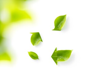 Recycling Leaves Icon on Light Background – Eco-Friendly Concept of Sustainable Production, Eco Plastic, and Green Fuel (AI Generated)