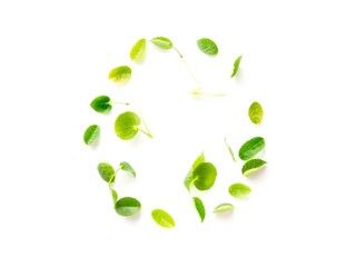 Recycling Leaves Icon on Light Background – Eco-Friendly Concept of Sustainable Production, Eco Plastic, and Green Fuel (AI Generated)