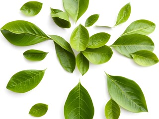 Recycling Leaves Icon on Light Background – Eco-Friendly Concept of Sustainable Production, Eco Plastic, and Green Fuel (AI Generated)