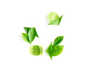 Recycling Leaves Icon on Light Background – Eco-Friendly Concept of Sustainable Production, Eco Plastic, and Green Fuel (AI Generated)