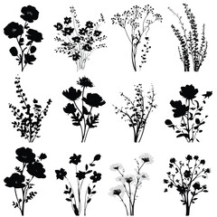 black and white floral elements