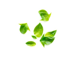 Recycling Leaves Icon on Light Background – Eco-Friendly Concept of Sustainable Production, Eco Plastic, and Green Fuel (AI Generated)