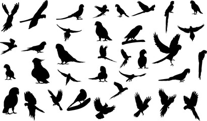 silhouette set of parrots of different breeds and in different angles, vector