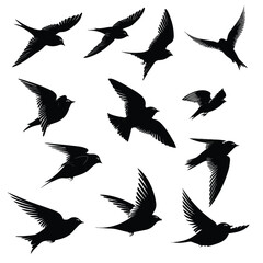 Fototapeta premium Mobile