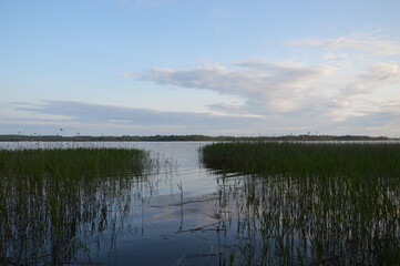 Relax in Seliger with dog