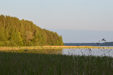 Relax in Seliger with dog