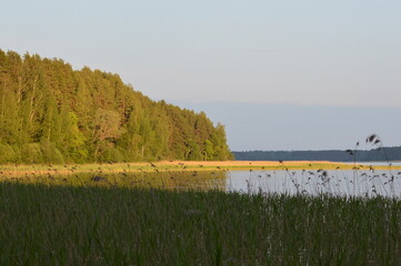 Relax in Seliger with dog
