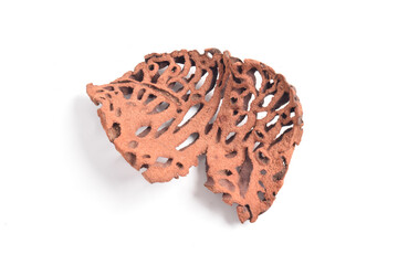 Ant Nest (Myrmecodia pendans), a traditional medicinal plant with porous, woody structure, isolated...