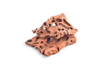 Ant Nest (Myrmecodia pendans), a traditional medicinal plant with porous, woody structure, isolated on white background.