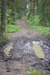 Relax in Seliger with dog