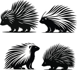 Four stylized porcupine silhouettes in black and white, showcasing different poses and quill details