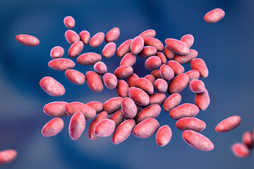 Brucella anthropi, formerly Ochrobactrum anthropi, an emerging opportunistic pathogen capable of degrading pharmaceuticals like Piracetam, 3D illustration. Rod-shaped, Gram-negative bacterium.