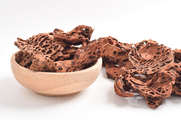 Ant Nest (Myrmecodia pendans), a traditional medicinal plant with porous, woody structure, isolated on white background.