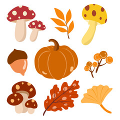Hand drawn vector set autumn elements. Fall autumn leaves, mushrooms, maple, acorns, berries, oak, pumpkins. Colorful autumn illustration. 
