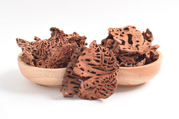 Close-up of Ant Nest (Myrmecodia pendans), a traditional medicinal plant with porous, woody...