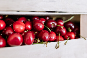 Freshly harvested cherries in wooden crate ready for market sale and consumption