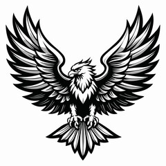 Fototapeta premium Powerful black and white eagle with outstretched wings and sharp talons