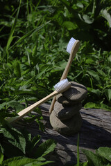 Wooden toothbrush lies on a stump against the background of green fresh leaves and stones