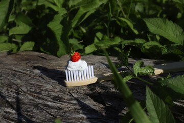 wooden toothbrush with white natural toothpaste and wild strawberry on it against green leaves
