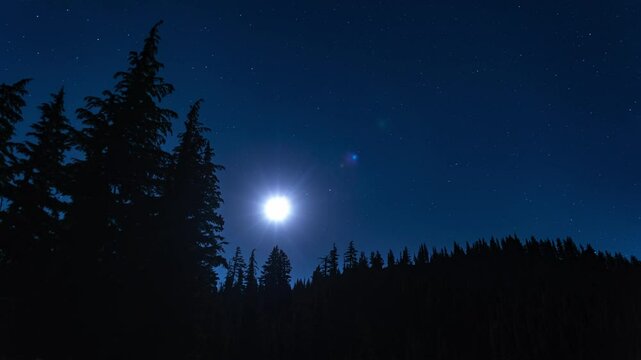 Moon moving across night sky pine tree silhouettes 