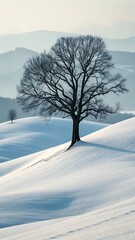Solitary Tree Stands on Snow Covered Hills with Distant Mountains in Winter Landscape Scenery and Cold Atmosphere