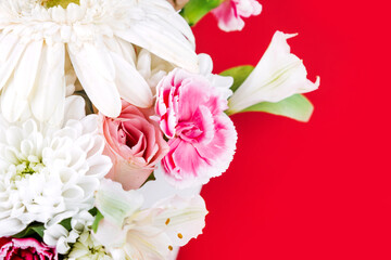 Bouquet with chrysanthemums on a plain red background, greeting card layout.
