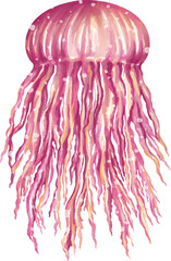 Watercolor jellyfish graphic illustration, which can be used in many forms such as scrapbook, postcards, stickers, teaching media, digital printing and many more.