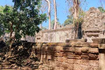 Old ruins of Angkor Wat temple complex. The temple of the ancient Khmer civilization Ta Prohm, which is located on the territory of Angkor Wat.