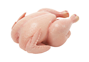 Isolated Fresh Raw Chicken Ready to Cook