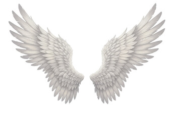 Isolated Pair of Angel Wings with Delicate Feathers