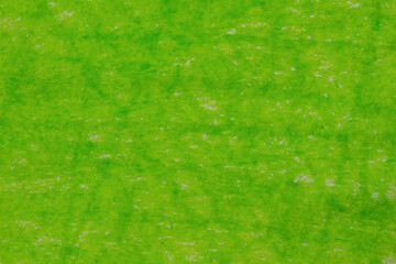 Green oil pastel paint texture background, abstract design element