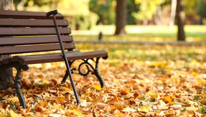 Old walking stick placed beside park bench in a leaf-covered garden