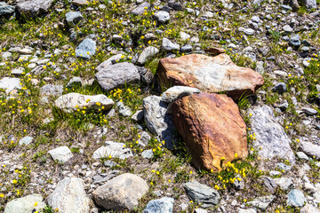 Grossglocknergebiet - Steine